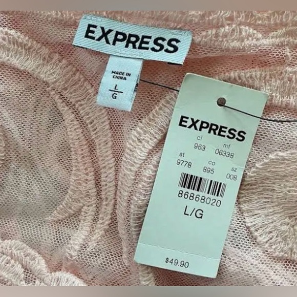 Express Blush Pink Embroidered Sheer Top / Size Large NWT - Picture 10 of 14